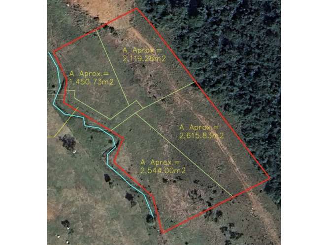Venta de terrenos en Las Uvas de San Carlos