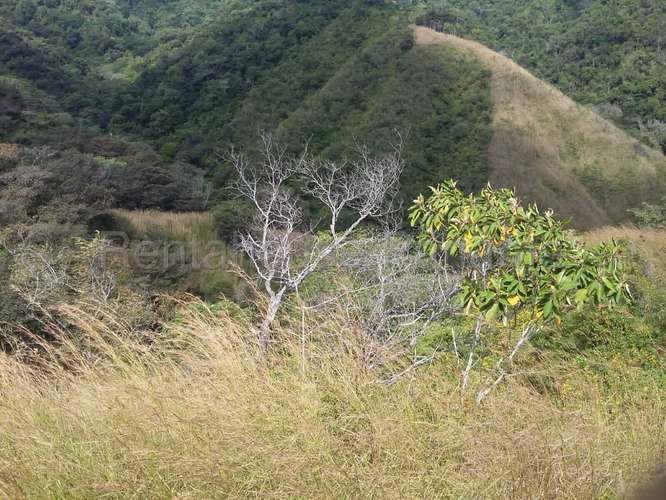 Venta de Terreno en Tonosi MMM27-3049 - Imagen 11