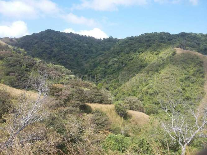 Venta de Terreno en Tonosi MMM27-3049 - Imagen 7