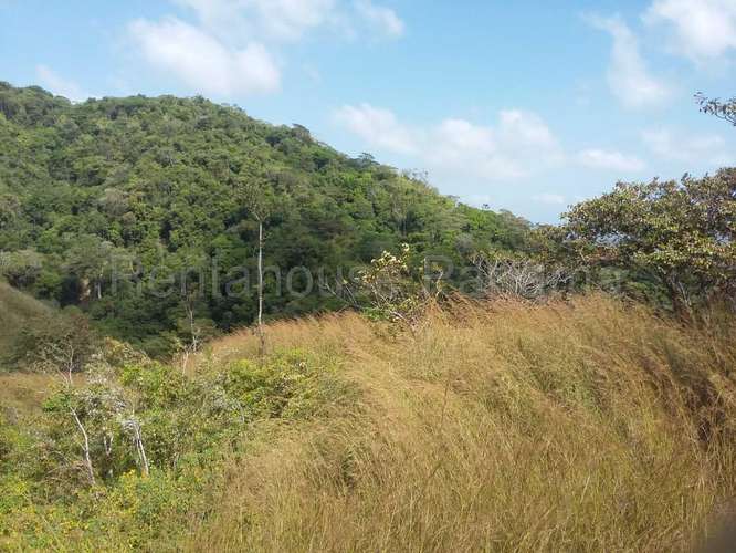 Venta de Terreno en Tonosi MMM27-3049 - Imagen 5