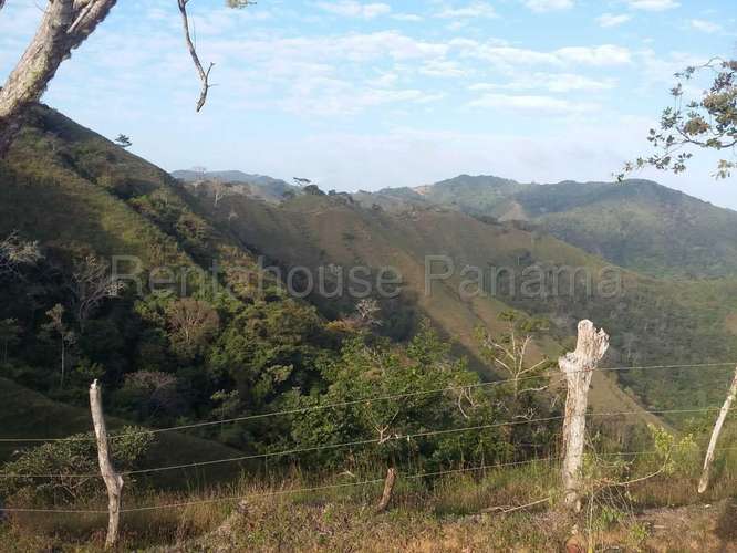 Venta de Terreno en Tonosi MMM27-3049 - Imagen 4