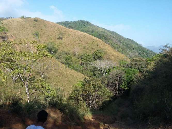 Venta de Terreno en Tonosi MMM27-3049 - Imagen 10