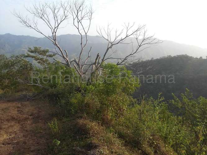 Venta de Terreno en Tonosi MMM27-3049 - Imagen 3