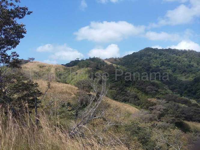 Venta de Terreno en Tonosi MMM27-3049 - Imagen 9
