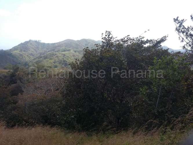 Venta de Terreno en Tonosi MMM27-3049 - Imagen 2