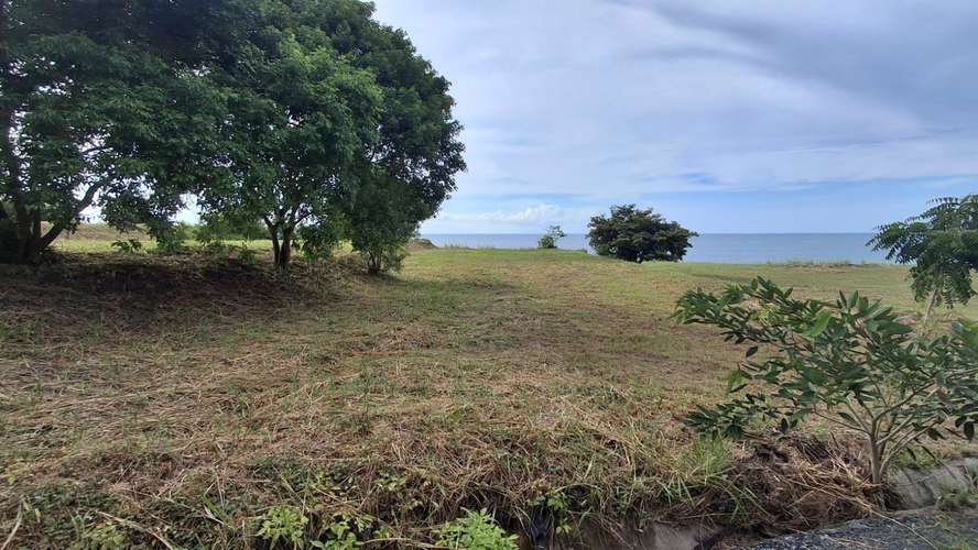 Caelo. Terreno frente al mar 1230mts $485,000.00 - Imagen 3