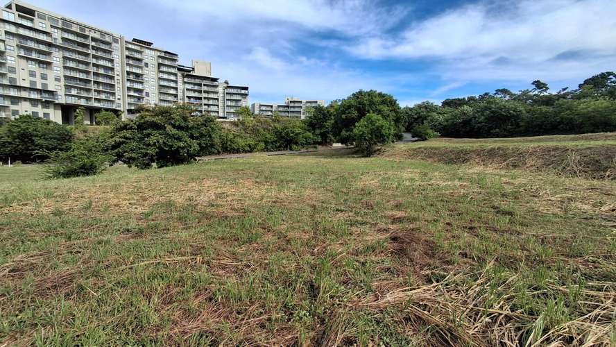 Caelo. Terreno frente al mar 1230mts $485,000.00 - Imagen 6