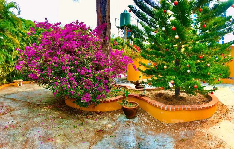Cafe Gourmet Punta Corona. Suites frente al mar para alquiler  - Imagen 18