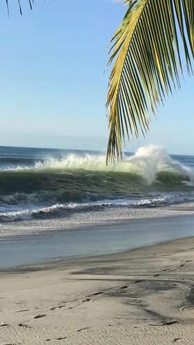 Cafe Gourmet Punta Corona. Suites frente al mar para alquiler  - Imagen 6