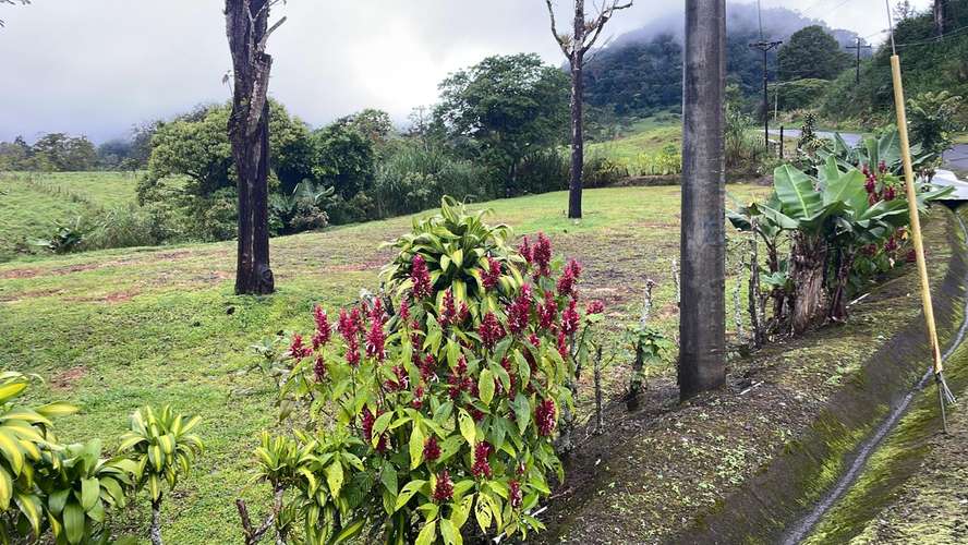  TERRENO EN VENTA EN VOLCÁN, CHIRIQUÍ  | $110,000 USD NEGOCIABLE | INVERSIÓN INMOBILIARIA - Imagen 13