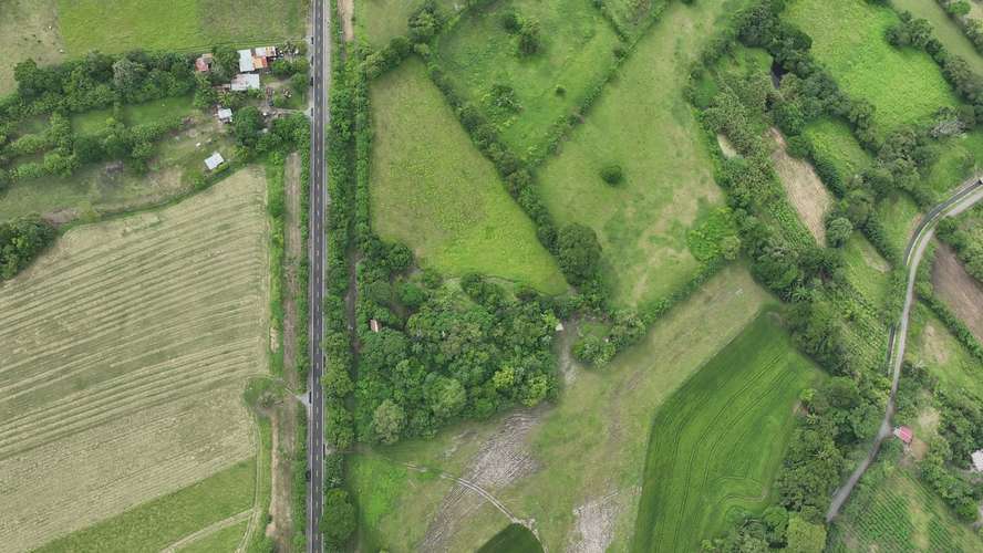 Terreno en Venta en Alanje, Chiriquí | Ideal para Producción Agrícola o Casa de Campo | $85,000 - Imagen 16
