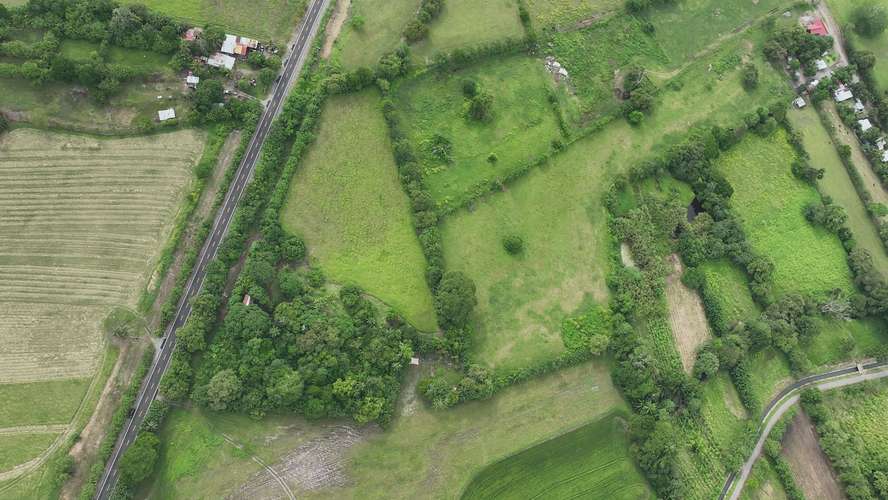 Terreno en Venta en Alanje, Chiriquí | Ideal para Producción Agrícola o Casa de Campo | $85,000 - Imagen 6