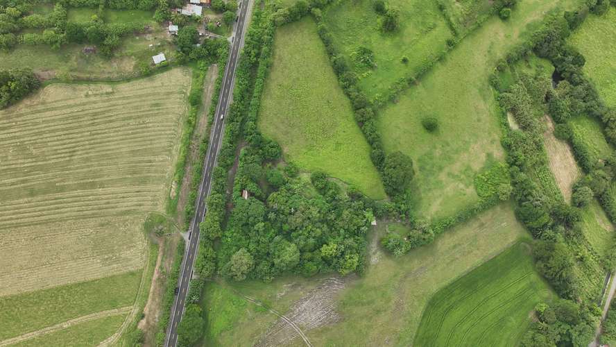 Terreno en Venta en Alanje, Chiriquí | Ideal para Producción Agrícola o Casa de Campo | $85,000 - Imagen 14