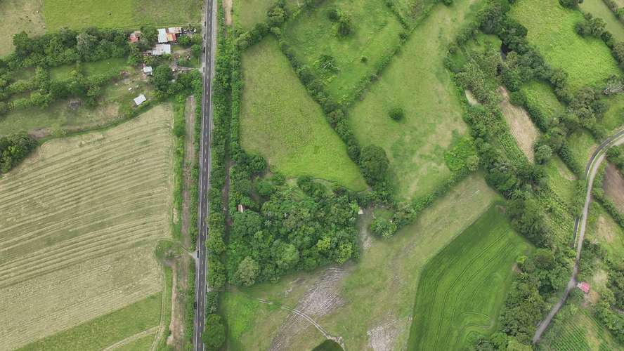 Terreno en Venta en Alanje, Chiriquí | Ideal para Producción Agrícola o Casa de Campo | $85,000 - Imagen 5