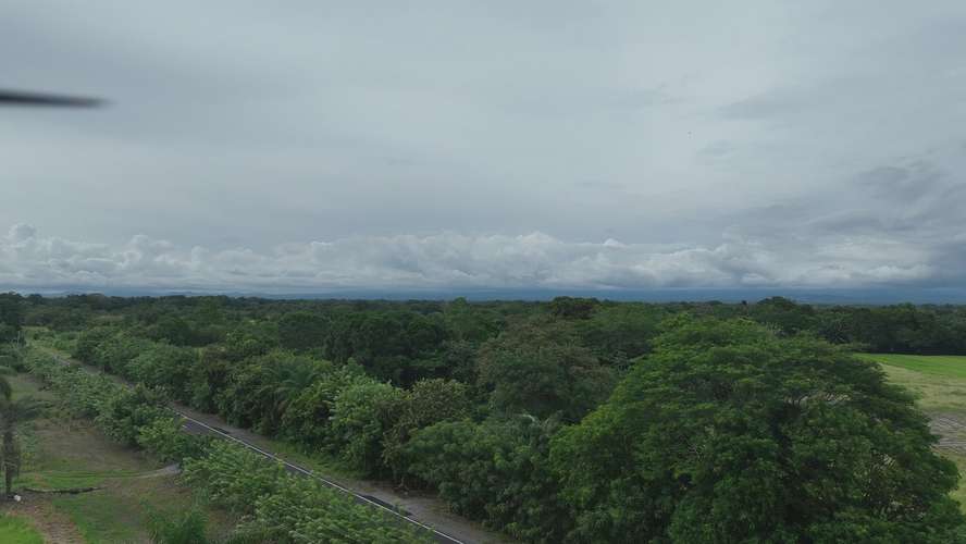 Terreno en Venta en Alanje, Chiriquí | Ideal para Producción Agrícola o Casa de Campo | $85,000 - Imagen 17