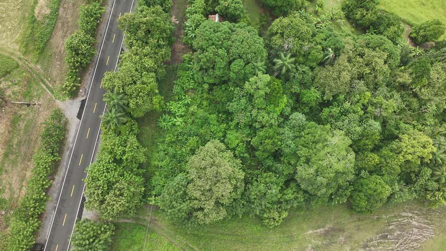 Terreno en Venta en Alanje, Chiriquí | Ideal para Producción Agrícola o Casa de Campo | $85,000 - Imagen 9