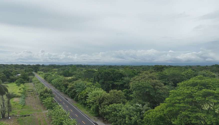 Terreno en Venta en Alanje, Chiriquí | Ideal para Producción Agrícola o Casa de Campo | $85,000 - Imagen 2
