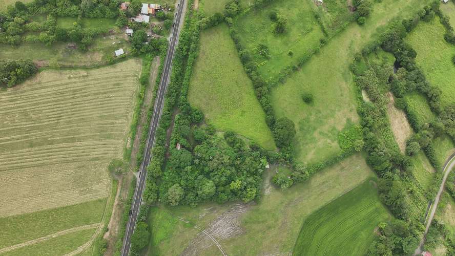 Terreno en Venta en Alanje, Chiriquí | Ideal para Producción Agrícola o Casa de Campo | $85,000 - Imagen 8