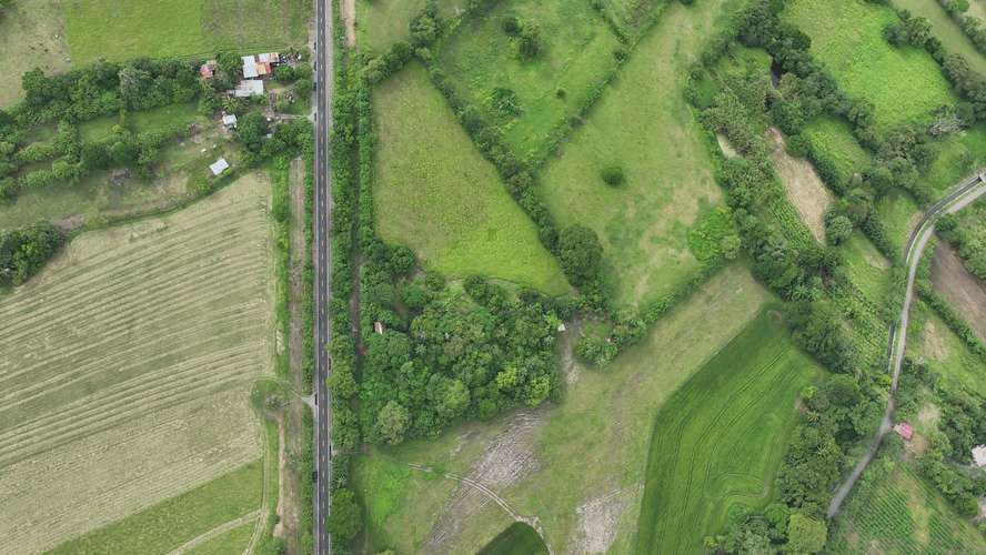 Terreno en Venta en Alanje, Chiriquí | Ideal para Producción Agrícola o Casa de Campo | $85,000 - Imagen 11
