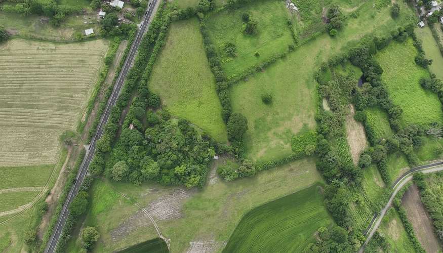 Terreno en Venta en Alanje, Chiriquí | Ideal para Producción Agrícola o Casa de Campo | $85,000 - Imagen 4