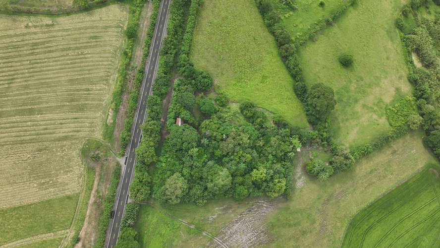 Terreno en Venta en Alanje, Chiriquí | Ideal para Producción Agrícola o Casa de Campo | $85,000 - Imagen 13