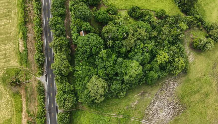 Terreno en Venta en Alanje, Chiriquí | Ideal para Producción Agrícola o Casa de Campo | $85,000 - Imagen 3