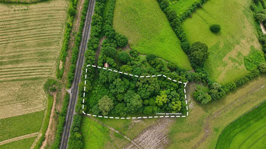 Terreno en Venta en Alanje, Chiriquí | Ideal para Producción Agrícola o Casa de Campo | $85,000