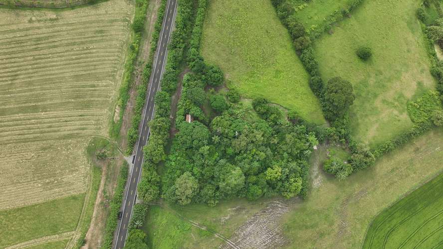 Terreno en Venta en Alanje, Chiriquí | Ideal para Producción Agrícola o Casa de Campo | $85,000 - Imagen 10