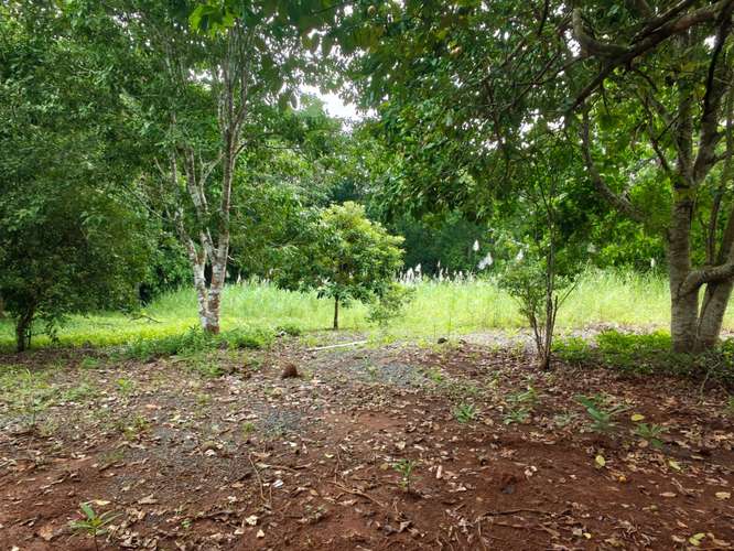 SE VENDE VENTA LOTES CAMPESTRES PRIVADOS  - Imagen 8
