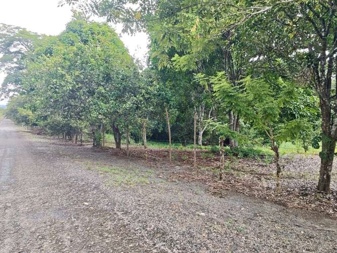 SE VENDE VENTA LOTES CAMPESTRES PRIVADOS  - Imagen 7