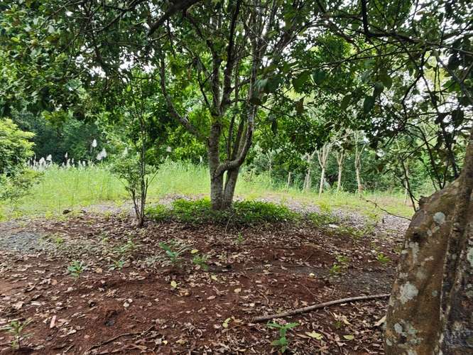 SE VENDE VENTA LOTES CAMPESTRES PRIVADOS  - Imagen 5