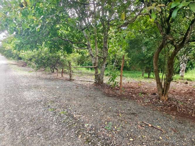 SE VENDE VENTA LOTES CAMPESTRES PRIVADOS  - Imagen 2