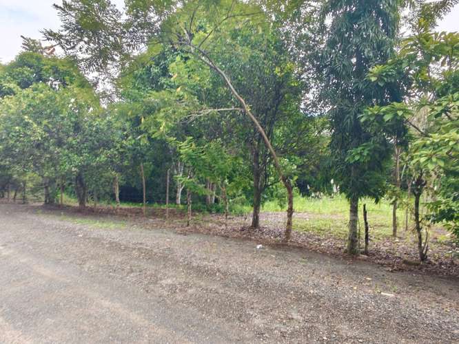 SE VENDE VENTA LOTES CAMPESTRES PRIVADOS  - Imagen 9