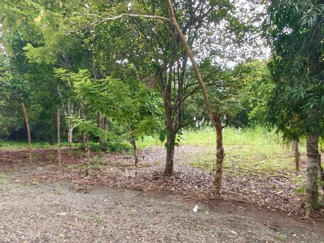SE VENDE VENTA LOTES CAMPESTRES PRIVADOS  - Imagen 11