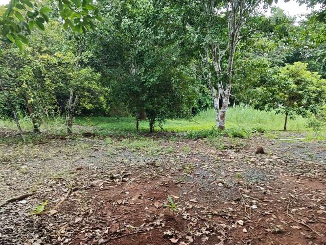 SE VENDE VENTA LOTES CAMPESTRES PRIVADOS  - Imagen 4