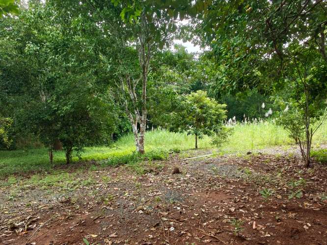 SE VENDE VENTA LOTES CAMPESTRES PRIVADOS  - Imagen 3