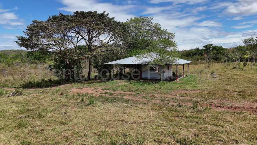 Venta - Terreno de 94.75 Hectáreas | 100 % Mecanizable | Agua Todo El Año. Algarrobos, Veraguas AMD - Imagen 5