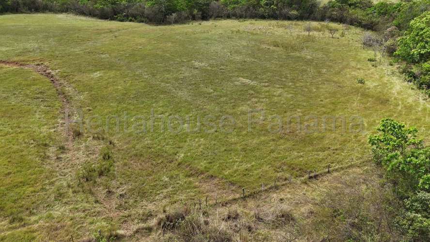 Venta - Terreno de 94.75 Hectáreas | 100 % Mecanizable | Agua Todo El Año. Algarrobos, Veraguas AMD - Imagen 10
