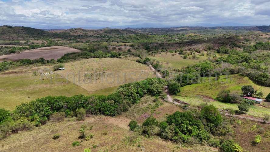 Venta - Terreno de 94.75 Hectáreas | 100 % Mecanizable | Agua Todo El Año. Algarrobos, Veraguas AMD