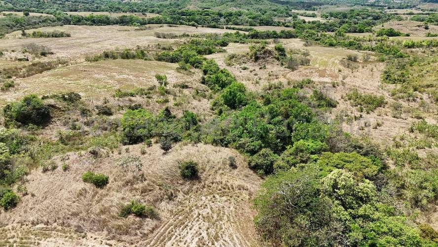 Venta - Finca de 60.7 Hectáreas | Las Peñitas, Río de Jesús, Veraguas AMD - Imagen 3