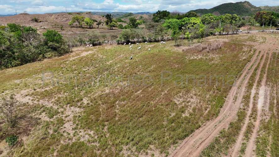 Venta - Finca de 60.7 Hectáreas | Las Peñitas, Río de Jesús, Veraguas AMD - Imagen 2