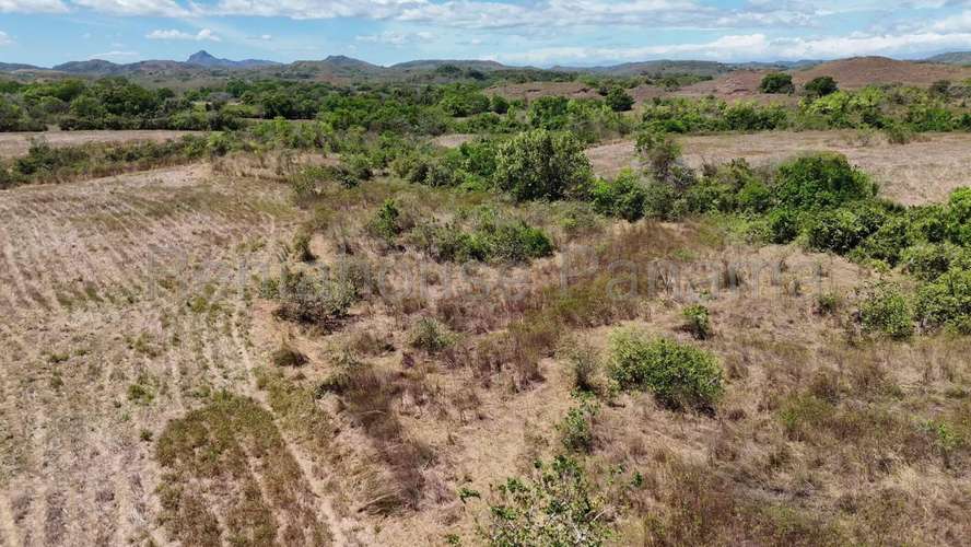 Venta - Finca de 60.7 Hectáreas | Las Peñitas, Río de Jesús, Veraguas AMD - Imagen 6