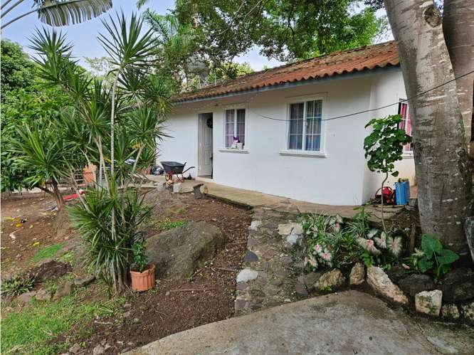 FINCA EN VENTA CON TRES CASAS Y CASA CLUB EN EL ESPAVE - Imagen 10
