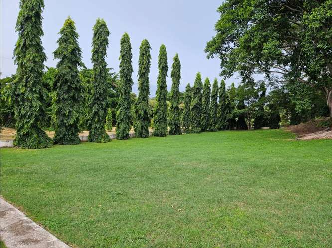 FINCA EN VENTA CON TRES CASAS Y CASA CLUB EN EL ESPAVE - Imagen 2