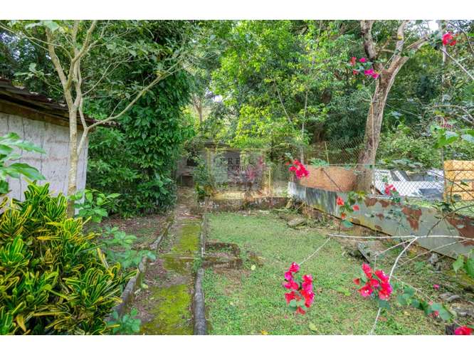 SE VENDE GALERA EN LA CHORRERA, CERCA  A MYSTIC CITY - Imagen 13