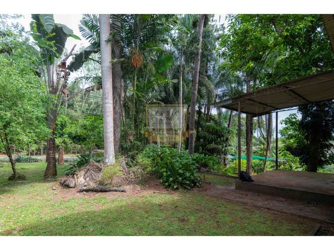 SE VENDE GALERA EN LA CHORRERA, CERCA  A MYSTIC CITY - Imagen 16