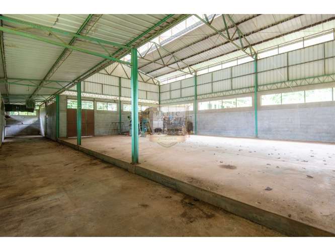 SE VENDE GALERA EN LA CHORRERA, CERCA  A MYSTIC CITY - Imagen 7