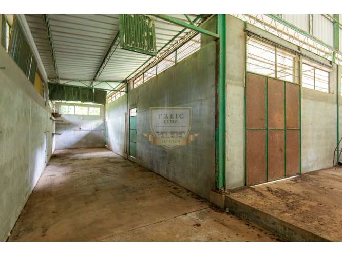 SE VENDE GALERA EN LA CHORRERA, CERCA  A MYSTIC CITY - Imagen 3