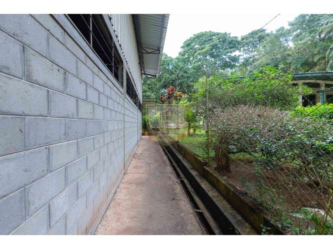 SE VENDE GALERA EN LA CHORRERA, CERCA  A MYSTIC CITY - Imagen 6