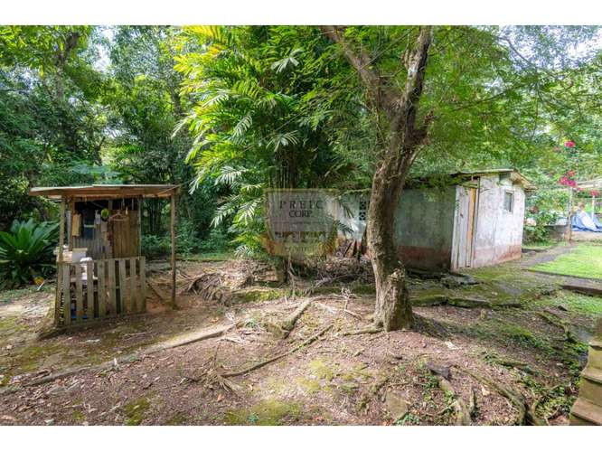 SE VENDE GALERA EN LA CHORRERA, CERCA  A MYSTIC CITY - Imagen 12